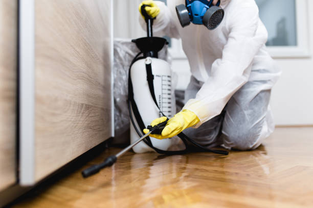 Best Insect Control  in Lincolndale, NY