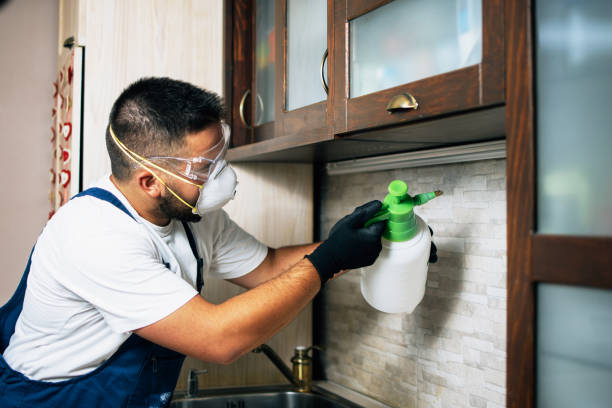 Best Best Pest Control Companies  in Lincolndale, NY
