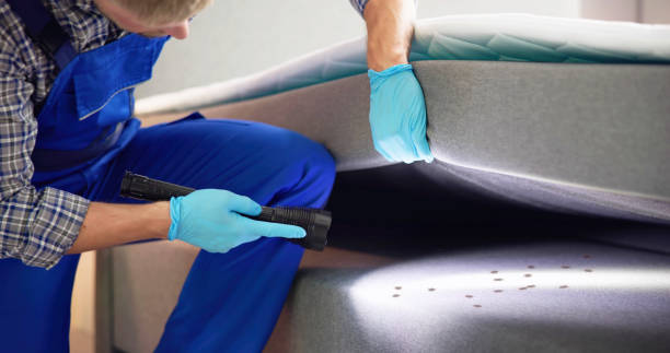 Best Ant Control Services  in Lincolndale, NY