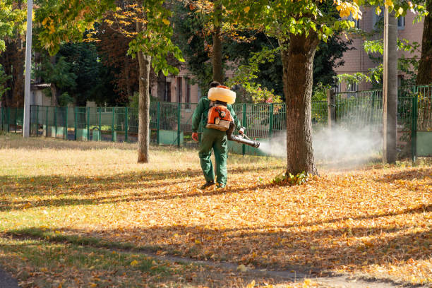 Best Cockroach Control Services  in Lincolndale, NY