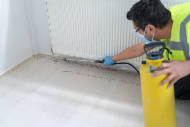 Best Pest Prevention Services  in Lincolndale, NY