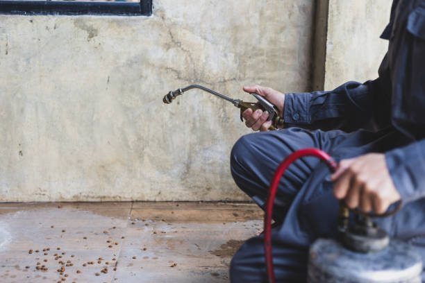 Best Pest Control Treatment  in Lincolndale, NY