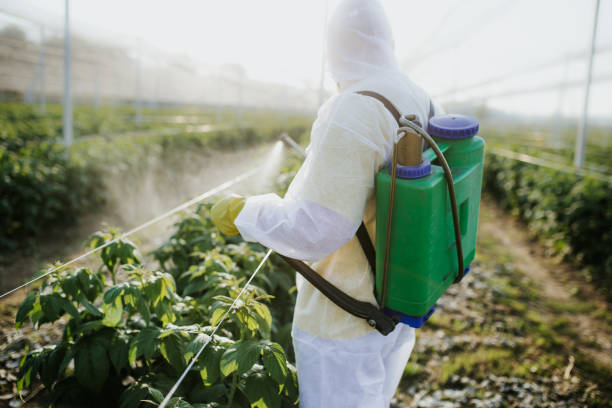 Best Best Pest Control Companies  in Lincolndale, NY